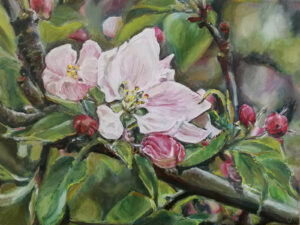 Apple tree in bloom by Jurakuba oil painting 40 x 30 cm 300x225