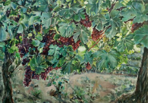 Grapes in Vineyards by Jurakuba Art oil painting on Canvas 92 x 65 cm 300x209